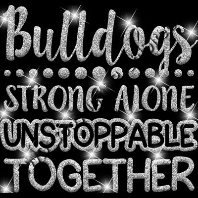 GLT87 SILVER GLITTER Thumbnail